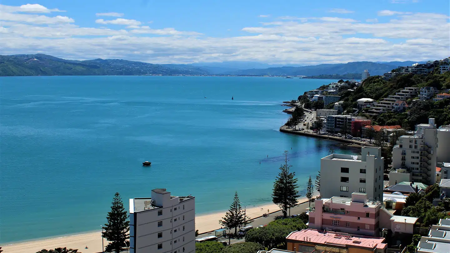New Zealand har flere gode strande – Wellington byder også på sandstrand i den orientalske bugt lidt øst for centrum. Fotos: Camilla Egeborg Møller