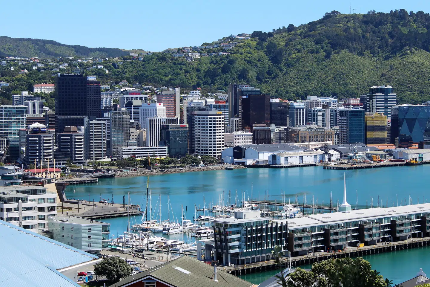 Gåturen op til Mount Victoria er bestemt anstrengelserne værd, når du kan se byens skyline, bjergene og ikke mindst områdets fascinerende og kreativt udførte træhuse.