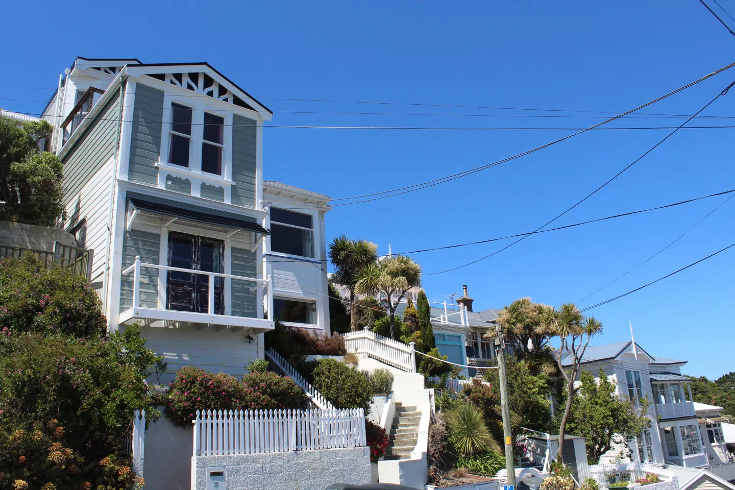 De fine træhuse i Mount Victoria er noget for sig i en ellers moderne hovedstad.
