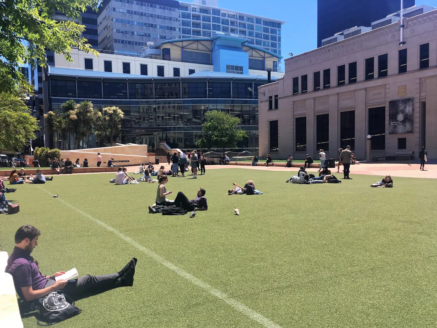 Wellingtons mange studerende trækker udendørs og læser, når solen skinner – her foran Art Gallery.