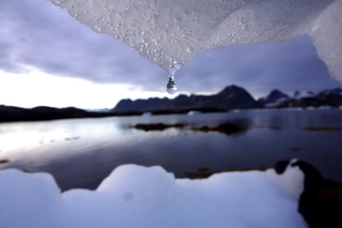 FNs klimarapport er bekymrende læsninger, og det er vores generations pligt og ansvar til at finde løsninger på de alvorlige klimaudfordringerne. Foto: JOHN MCCONNICO/Ritzau Scanpix