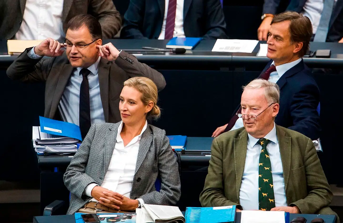 Alternative für Deutschlands ledelse, med Alexander Gauland i spidsen, har meget at glæde sig over for tiden. I meningsmålingerne i Tyskland har partiet overhalet SPD på andenpladsen, og ved delstatsvalgene i Hessen og Bayern står partiet til at komme ind i parlamenterne. Hessen og Bayern er de eneste delstatsparlamenter, hvor partiet endnu ikke er repræsenteret.