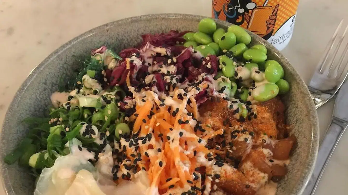 Bento bowl og iste med økologisk samvittighed