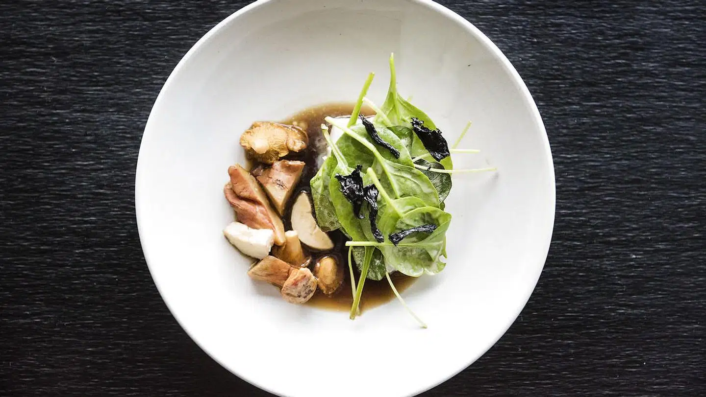 Torsk med svampebouillon og babyspinat.