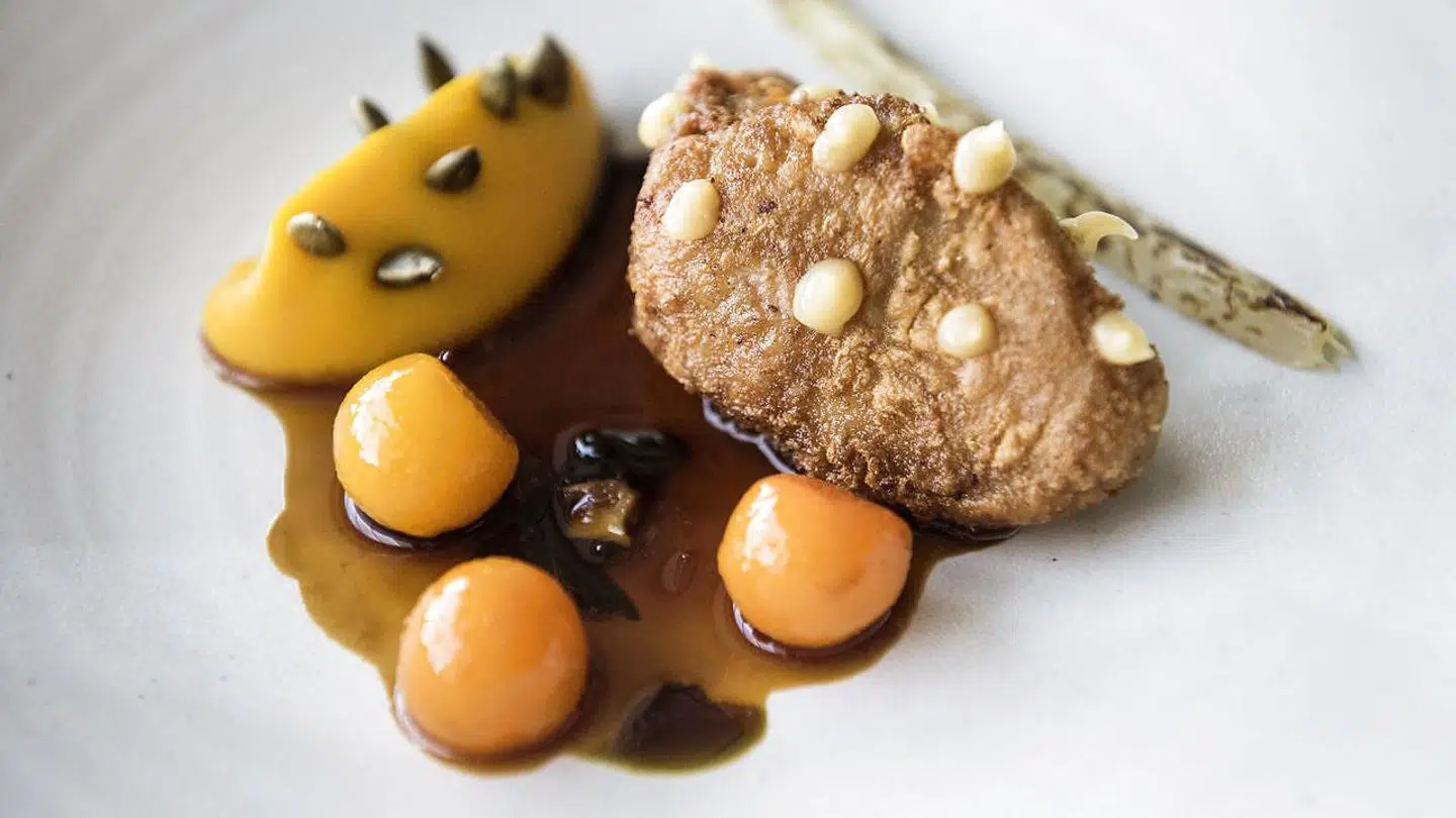 Ristet kalvebrissel med græskarpuré, melonkugler og sauce krydret med vadouvan (fransk karry).