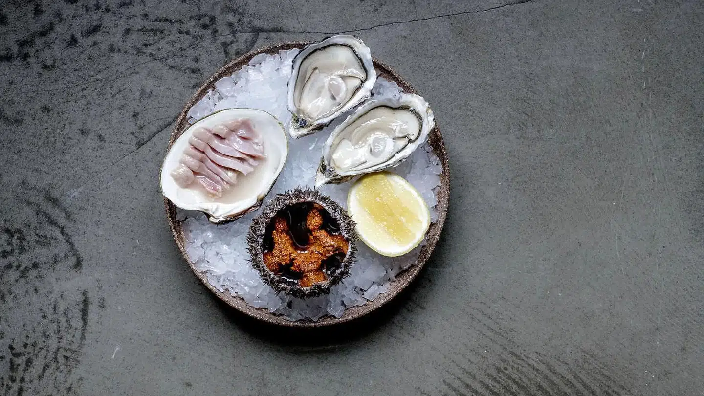 Skaldyrsfad med østers, molboøsters og søpindsvin.