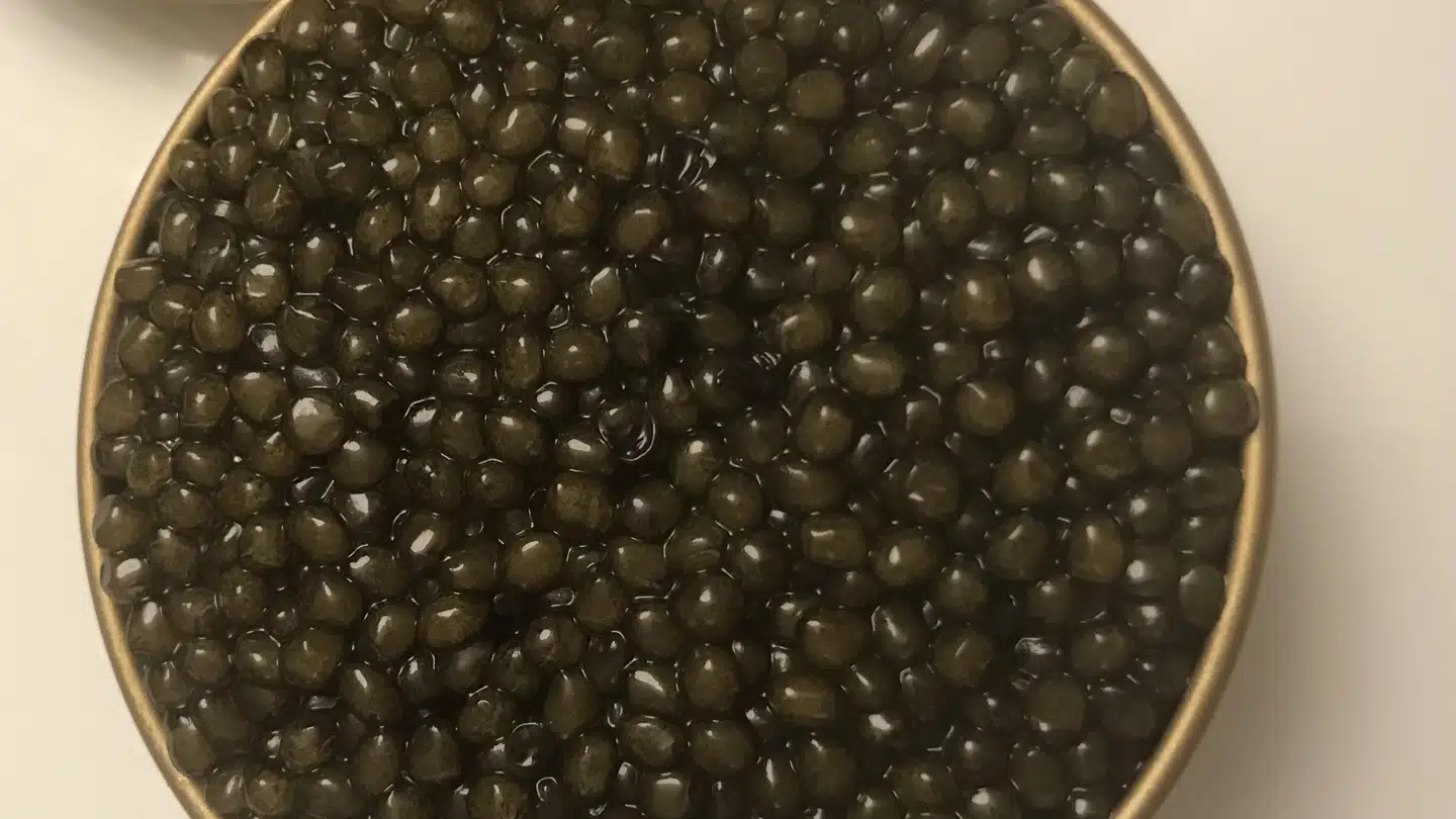 Rossini caviar. Foto: Søren Frank