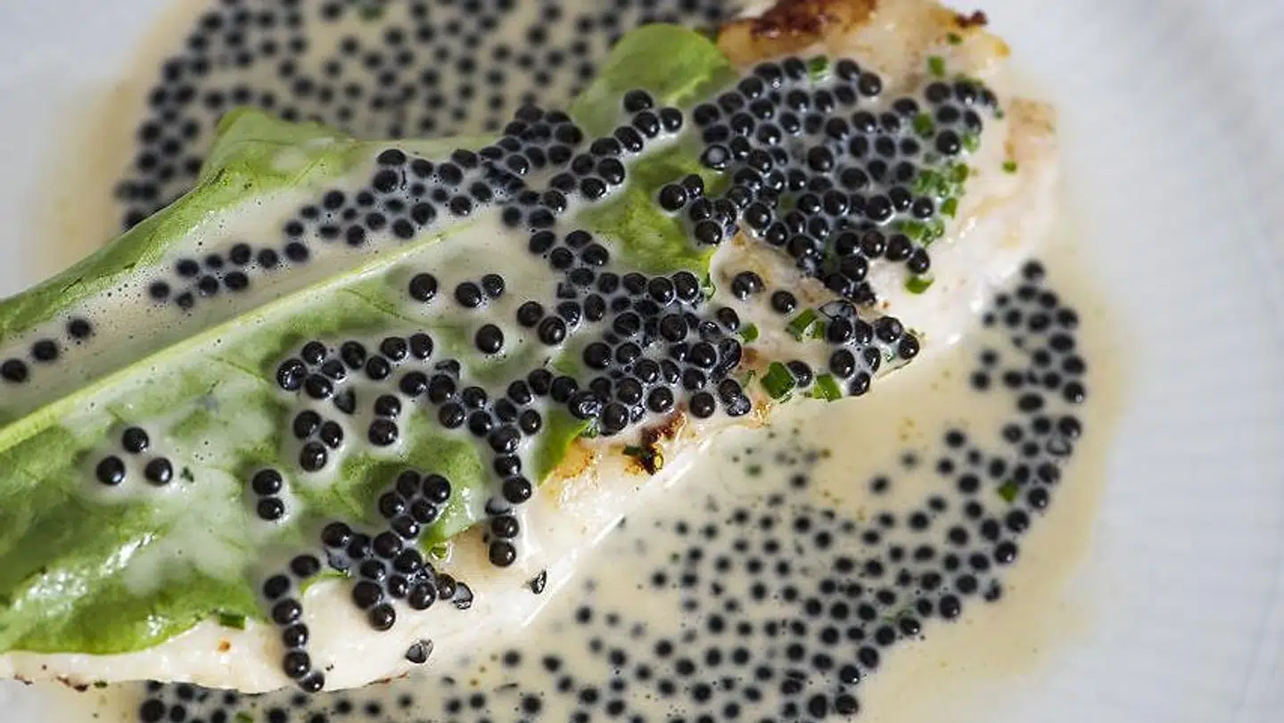 Pighvar med havesyre og caviar.