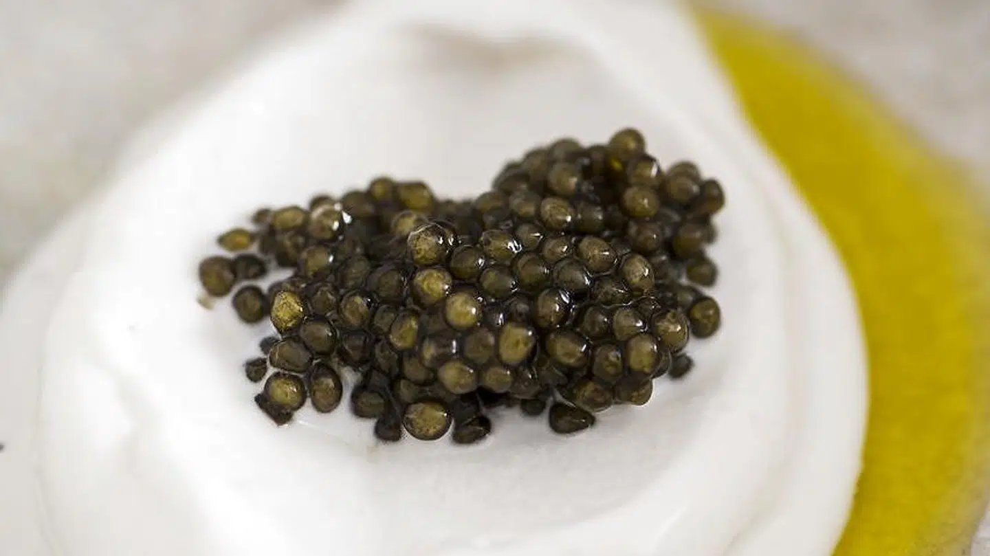 Kokosis fra Jacob og Jakob med olivenolie og caviar.