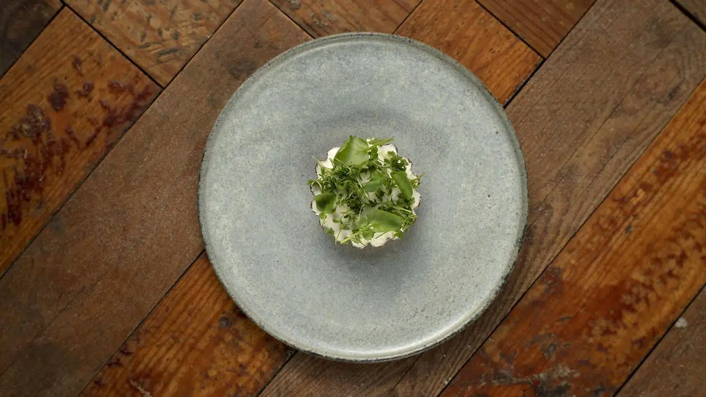 Tærte med rygeost og muslinger på Substans i Aarhus.