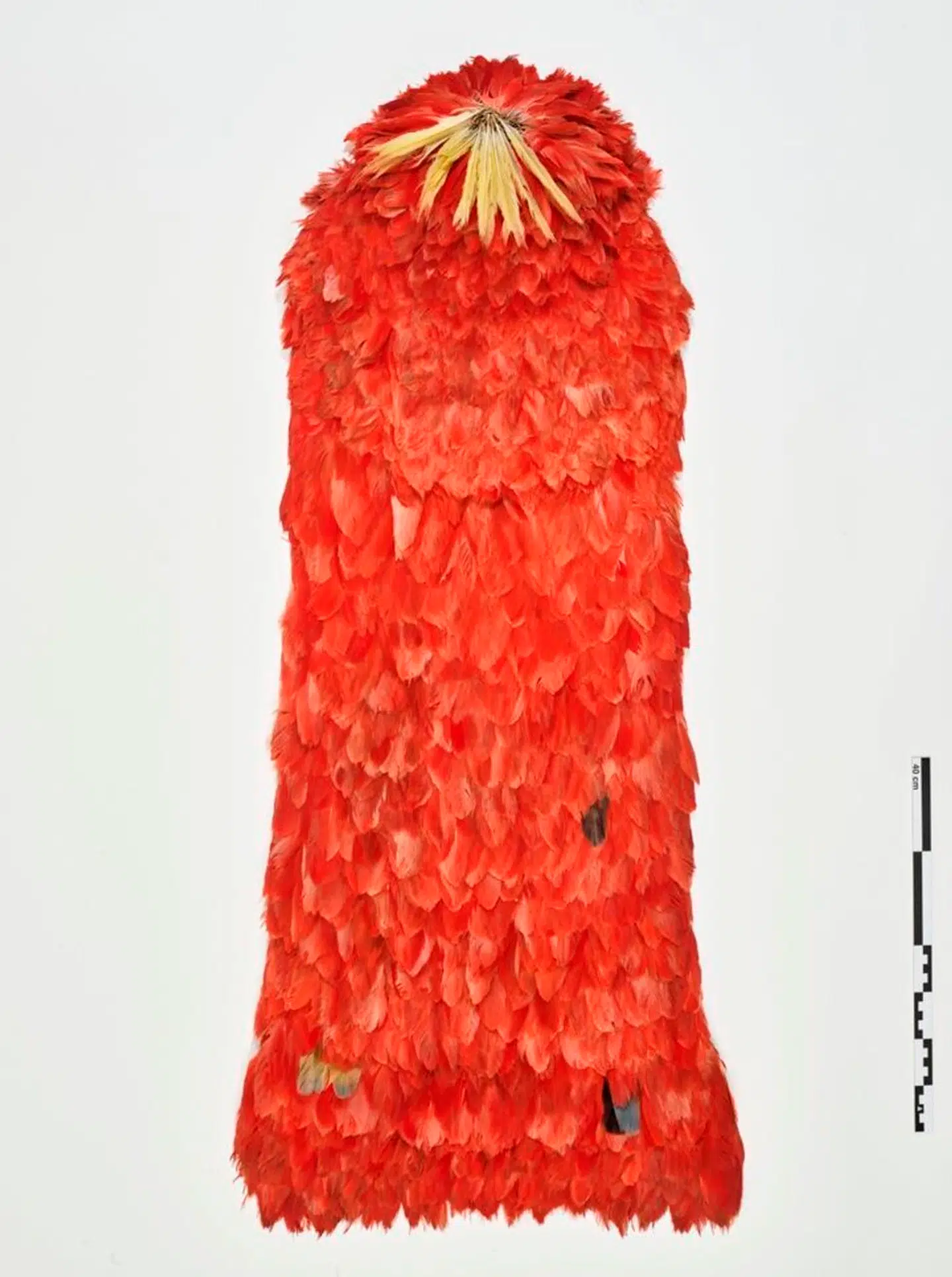 »De brasilianske fjerdragtvenner og de, der truer med vold på grund af Koranafbrændinger, ligner hinanden,« skriver Kathrine Lilleør.