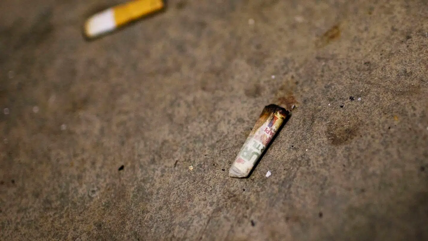 Det er blandt andet joint-skodder, hundene spiser og bliver påvirkede af.