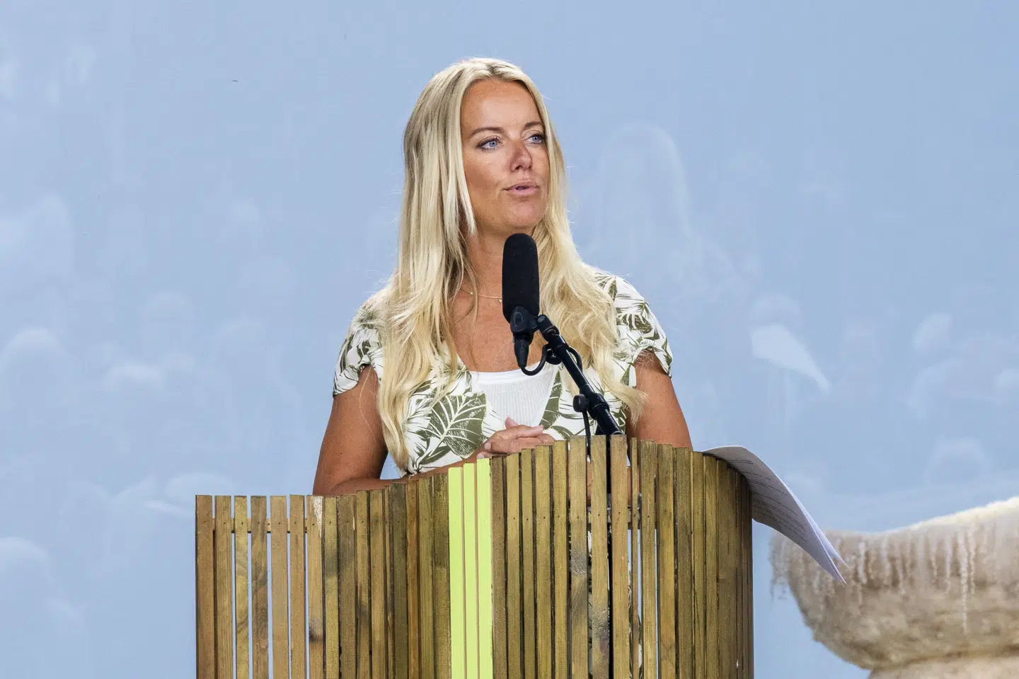 Forslaget fra Pernille Vermund (NB) og Morten Messerschmidt (DF) kræver dog 60 mandater, og de har kun 10. (Arkivfoto).