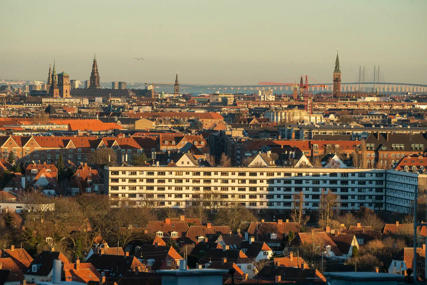 Løbet afholdes i Bellahøj, men blev i flere år afholdt i Fælledparken i København.