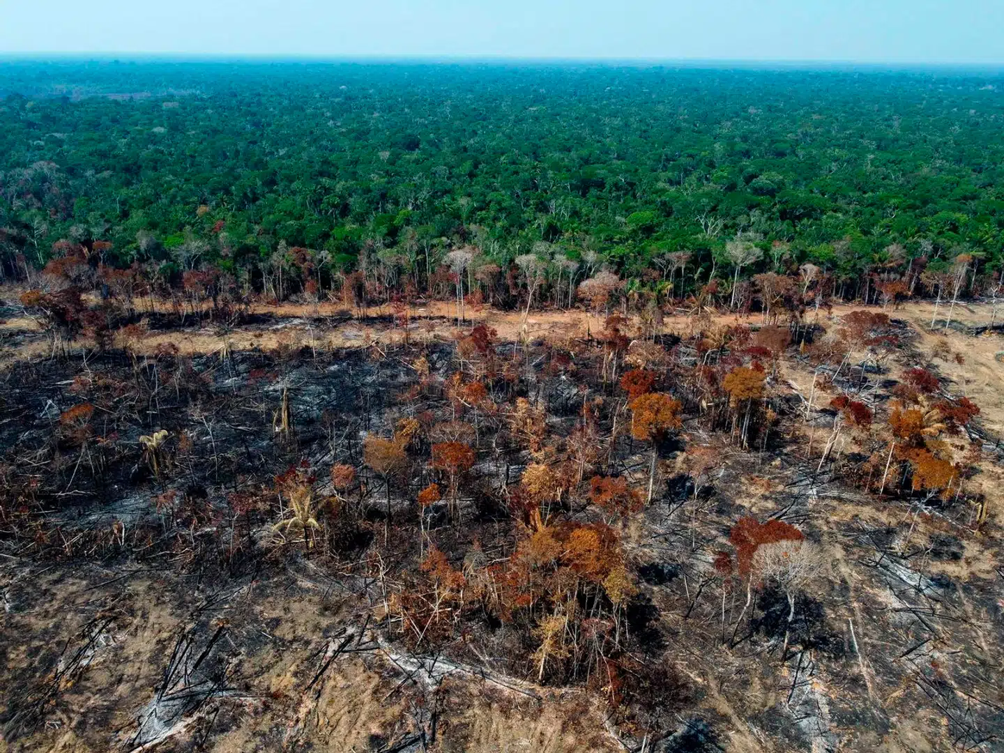 Amazonas led under slemme brandsæsoner, da tidligere præsident Jair Bolsonaro sad ved magten.