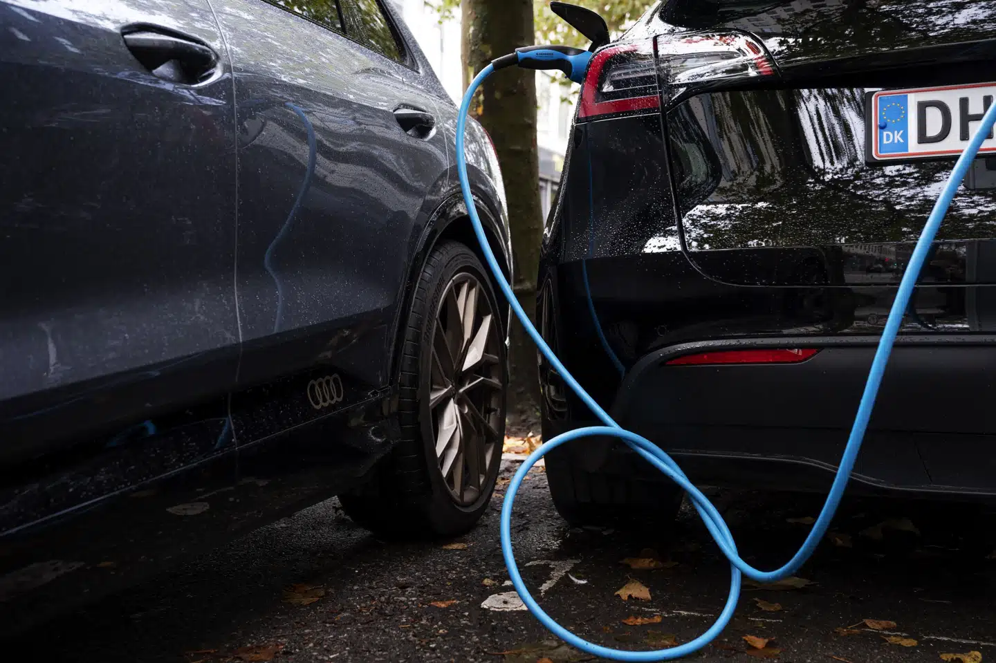 Ifølge FDM er der solgt cirka 20.000 ladebokse af typerne Easee Home og Easee Charge i Danmark, skriver TV 2. Linda Kastrup/Ritzau Scanpix