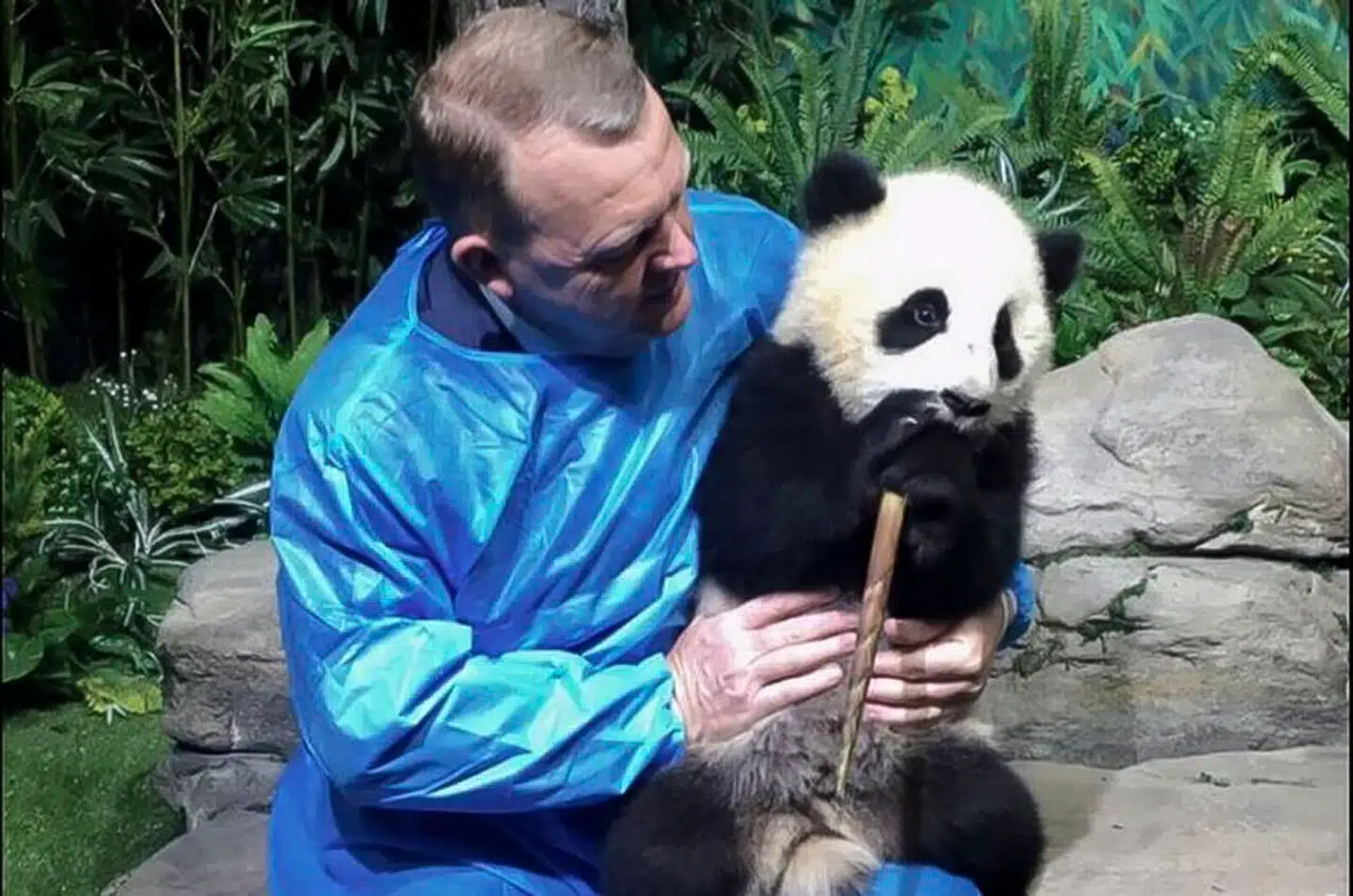 Pragmatismen må ikke forhindre Danmark i at invitere officielle gæster fra Taiwan eller tage imod talsmænd fra Hongkongs demokratibevægelse, fra uighurerne eller tibetanerne, skriver Pia Olsen Dyhr og Morten Messerschmidt. På billedet ses daværende statsminister Lars Løkke Rasmussen (dengang V) i maj 2017 under mødet med de to pandaer, der skulle sendes til København året efter som led i det, der er blevet kaldt det kinesiske pandadiplomati.
