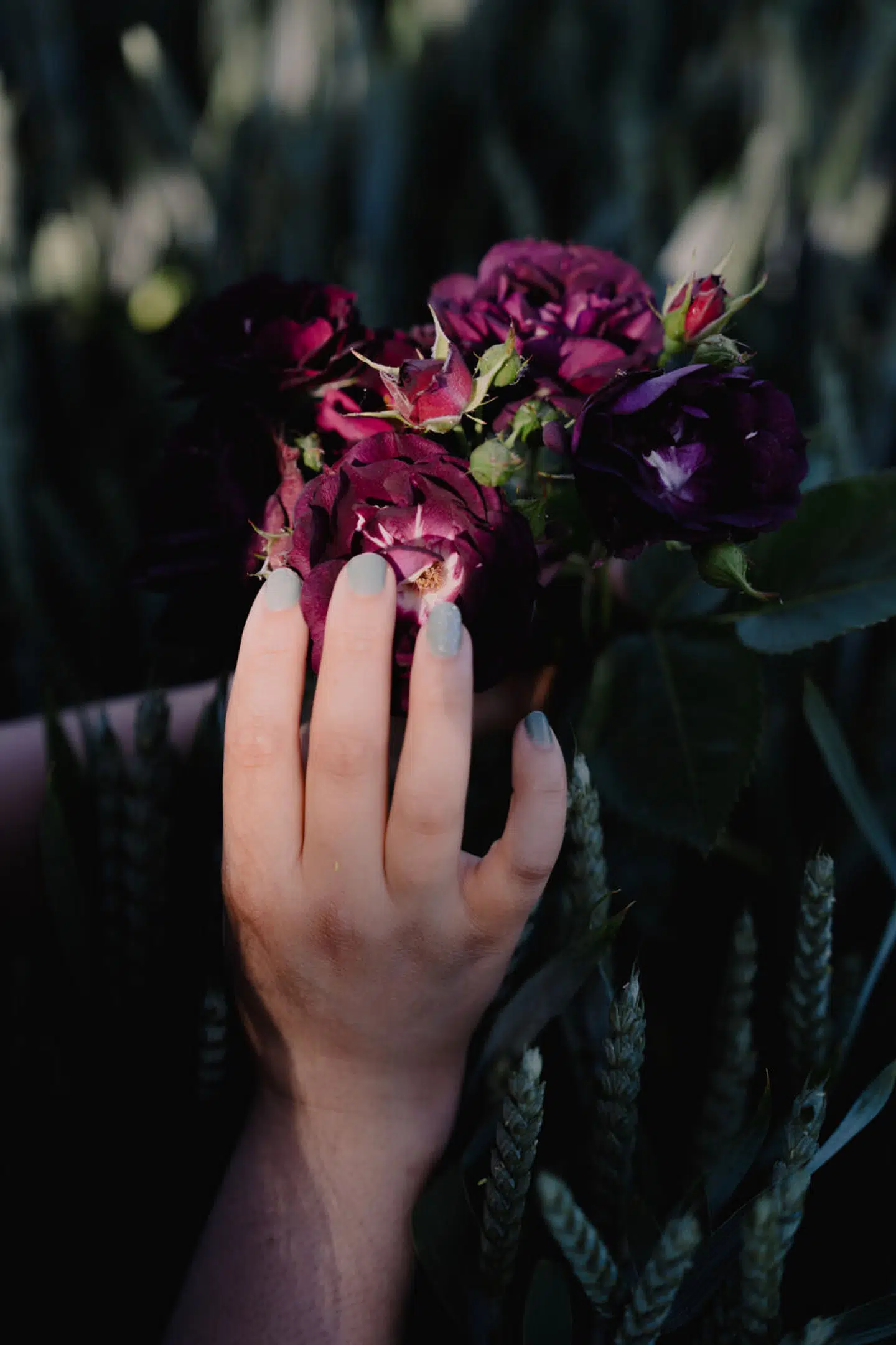 Liza levede under hele sin opvækst under streng kontrol. Nu fortæller hun for første gang sin historie op til det drabsforsøg, hendes far stod bag.