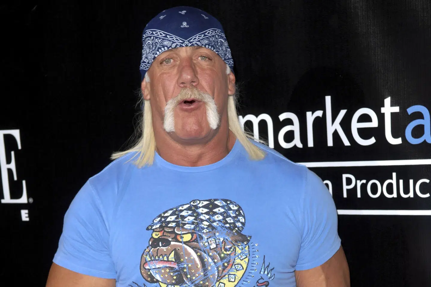 I 80'erne og 90'erne forbandt wrestlingfans i hele verden sportsgrenen med Terry Gene Bollea, der 11. august fylder 70 år. (Arkivfoto). Mpi04/Ritzau Scanpix