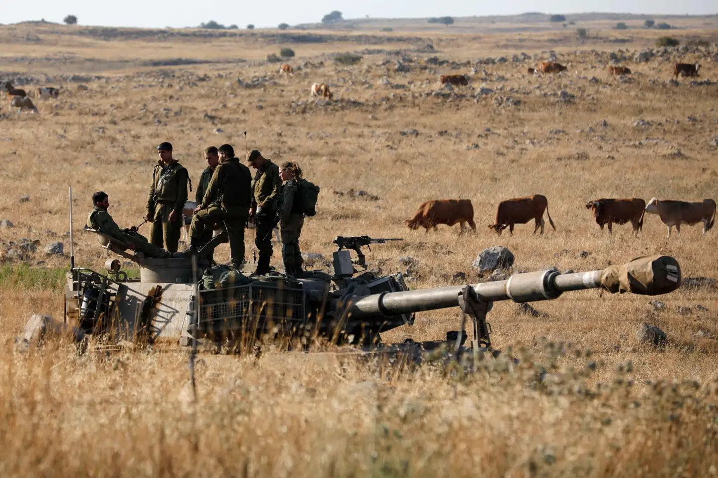 Israelske soldater ses under en tidligere øvelse i Golanhøjderne. Ifølge syriske statsmedier har Israel tilsyneladende udført angreb fra Golanhøjderne mod Damaskus-området natten til mandag. (Arkivfoto). Jalaa Marey/Ritzau Scanpix