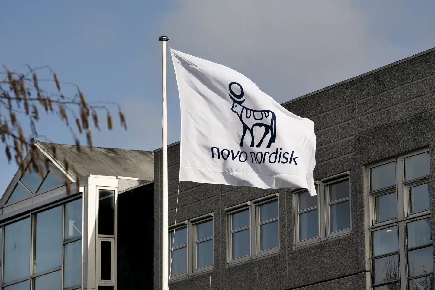 Novo Nordisk-aktien lukkede 22. maj i kurs 1179,80 - en rekord, der altså er blevet slået tirsdag, hvor aktien lukkede i kurs 1279,80. (Arkivfoto).
