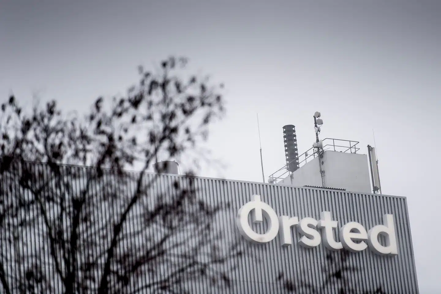 Også omsætningen har taget et dyk i løbet af årets første seks måneder (Foto: Mads Claus Rasmussen/Ritzau Scanpix).