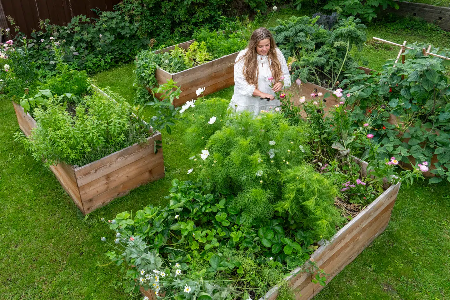 »Jeg synes, at det er livsbekræftende at putte noget i jorden og se det vokse,« siger 36-årige Louise Brun, der har kastet sine kræfter og energi i sin nye have. Det samme gør mange af hendes jævnaldrende, bekræfter Haveselskabet.
