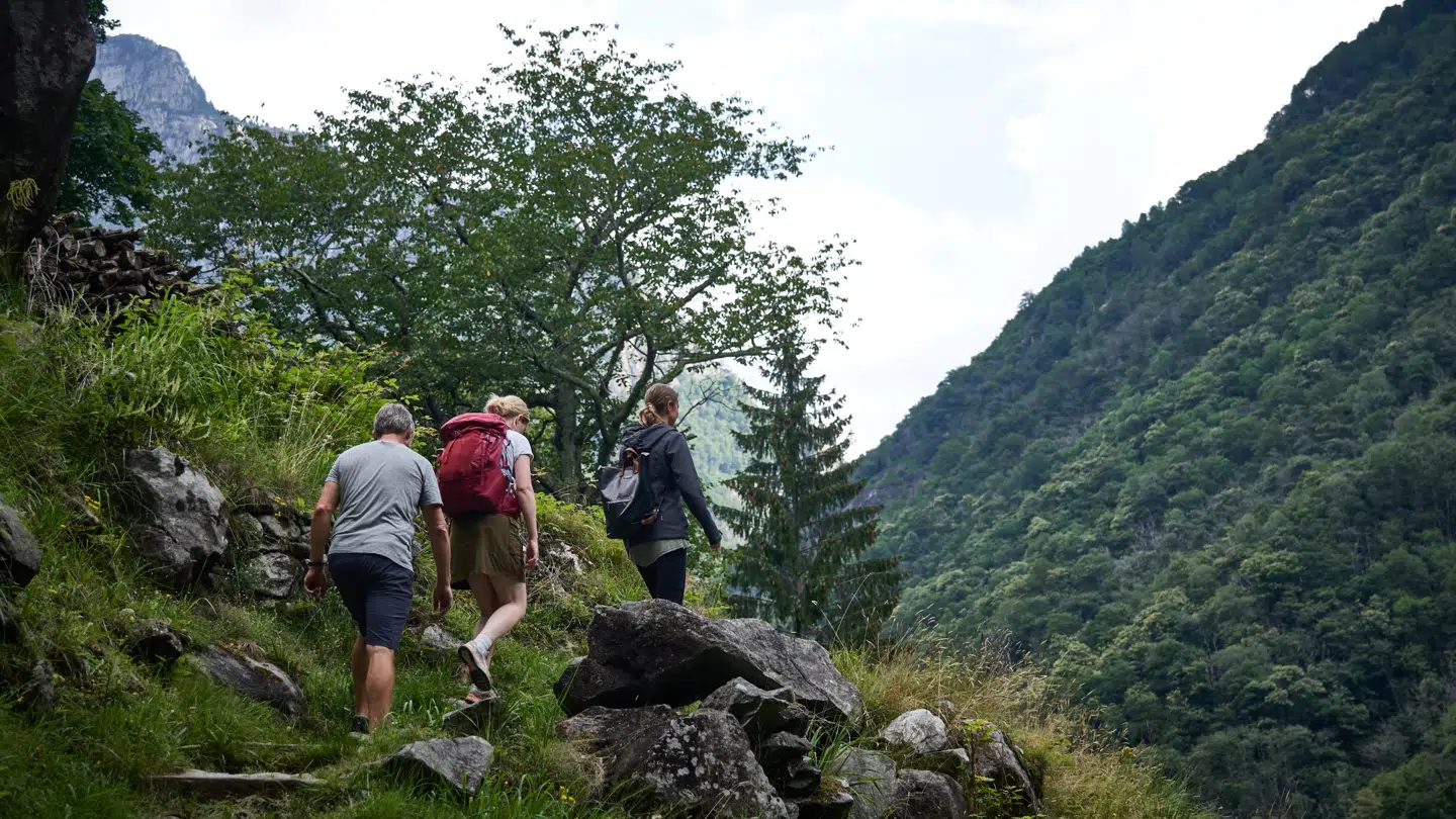Naturen i Schweiz er en destination i sig selv. Tag på en vandretur i de smukke bjerge og besøg idylliske byer undervejs.