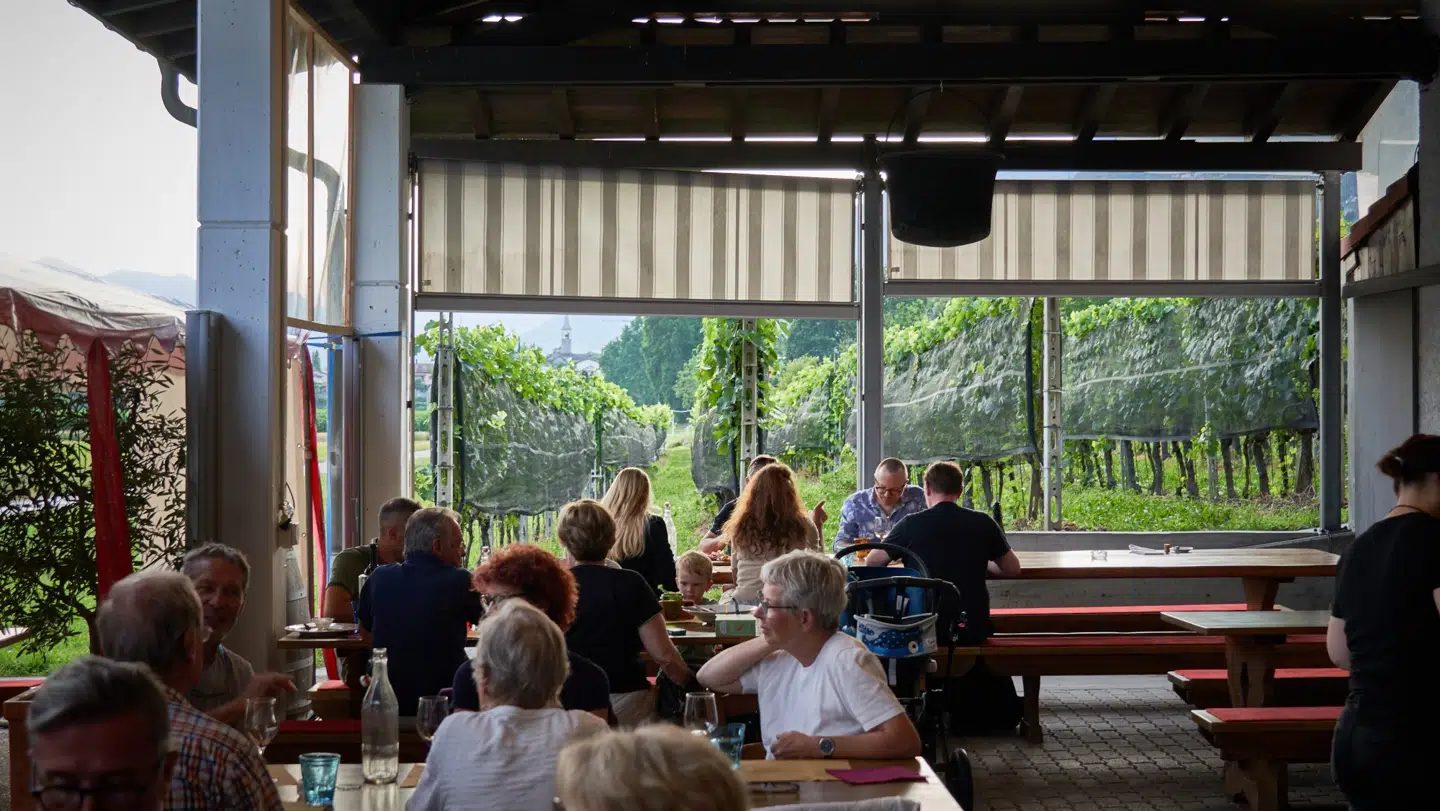 Kom på besøg på en af de mange vingårde og smag den fantastiske vin.