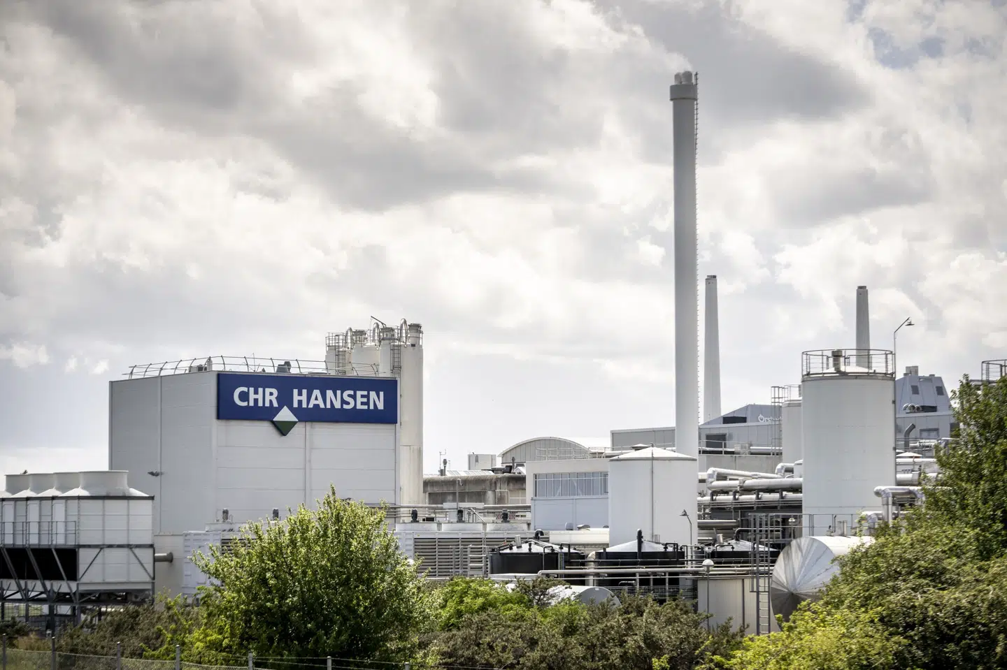 Årets Laks gives til personer og organisationer, som tør at svømme mod strømmen.