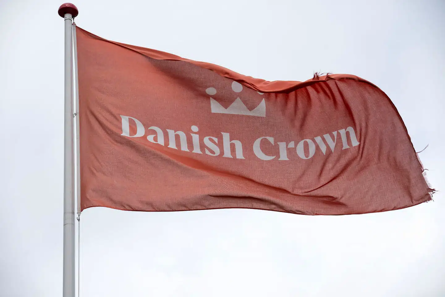 Efter ulykken udtalte Jens Hansen, pressechef i Danish Crown, til TV Syd, at det var meget sjældent, at koncernen har den type ulykker. (Foto: Bo Amstrup/Ritzau Scanpix)