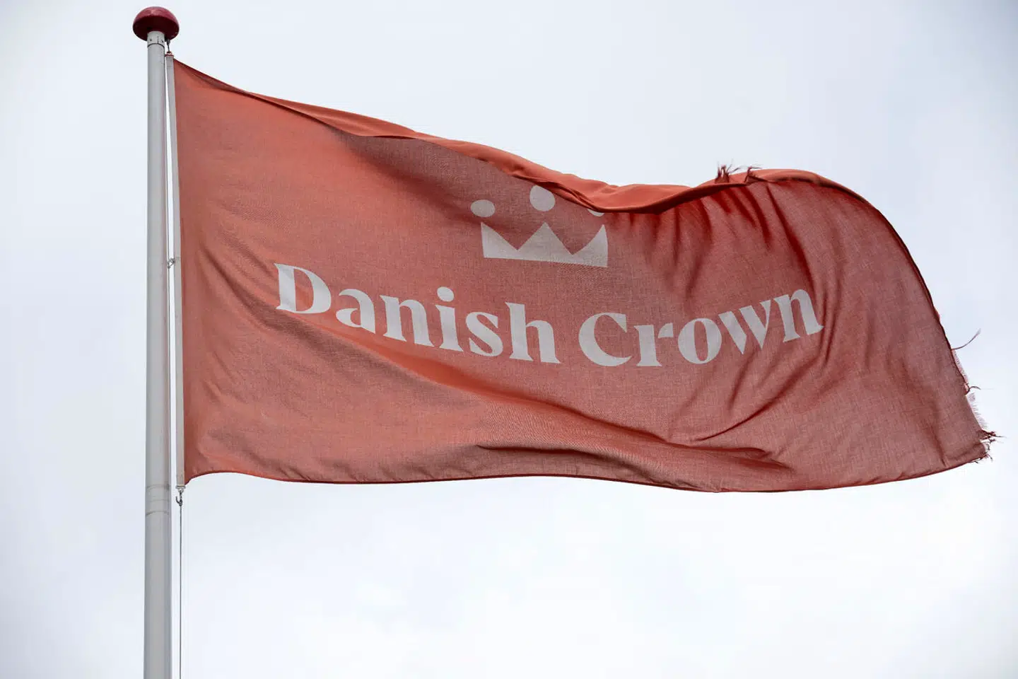 Efter ulykken udtalte Jens Hansen, pressechef i Danish Crown, til TV Syd, at det var meget sjældent, at koncernen har den type ulykker. (Foto: Bo Amstrup/Ritzau Scanpix)