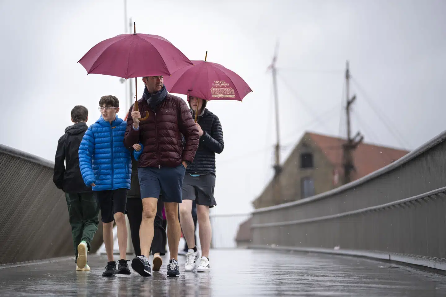 Det blev den vådeste juli i over 90 år, mens juni bød på tørke- og varmerekord i Danmark. (Arkivfoto). Thomas Traasdahl/Ritzau Scanpix