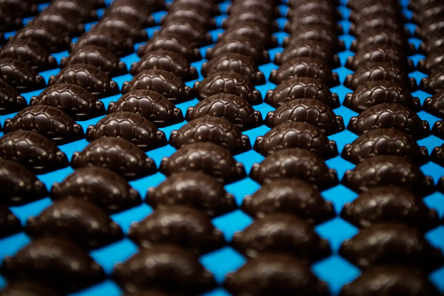 Den velkendte chokoladeskildpadde fra Toms chokoladefabrik i Ballerup.