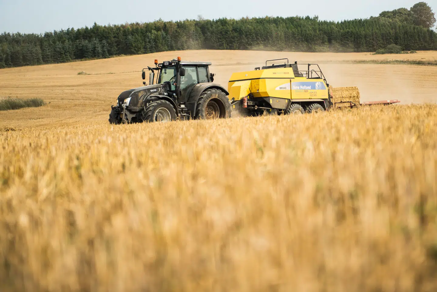 »Vi står med en enestående mulighed for at bevare Danmark som et landbrugsland og samtidig sikre, at det danske landbrug viser resten af verden, hvordan man laver en grøn omstilling af fødevareerhvervet,« skriver Ida Auken.