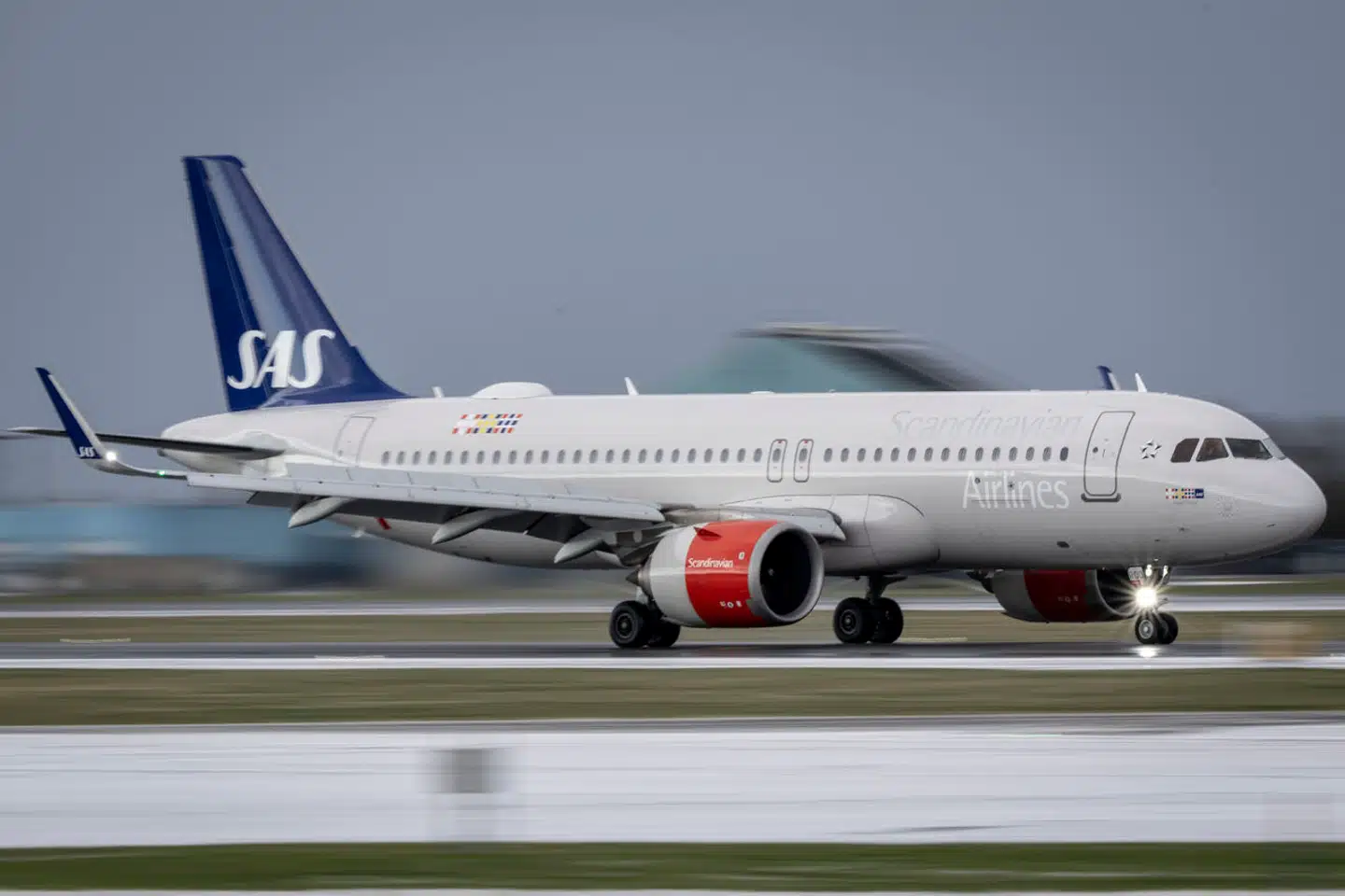 (Foto: Mads Claus Rasmussen/Ritzau Scanpix)