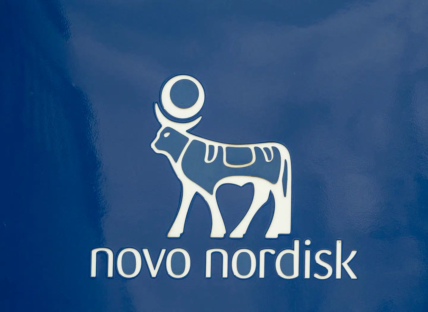 »Det er en kæmpe milepæl,« lyder det fra aktiechef i Artha Kapitalforvaltning, Lars Hytting, efter at Novo Nordisk formåede at indtage pladsen som Europas mest værdifulde børsselskab fredag. (Foto: Liselotte Sabroe/Ritzau Scanpix)