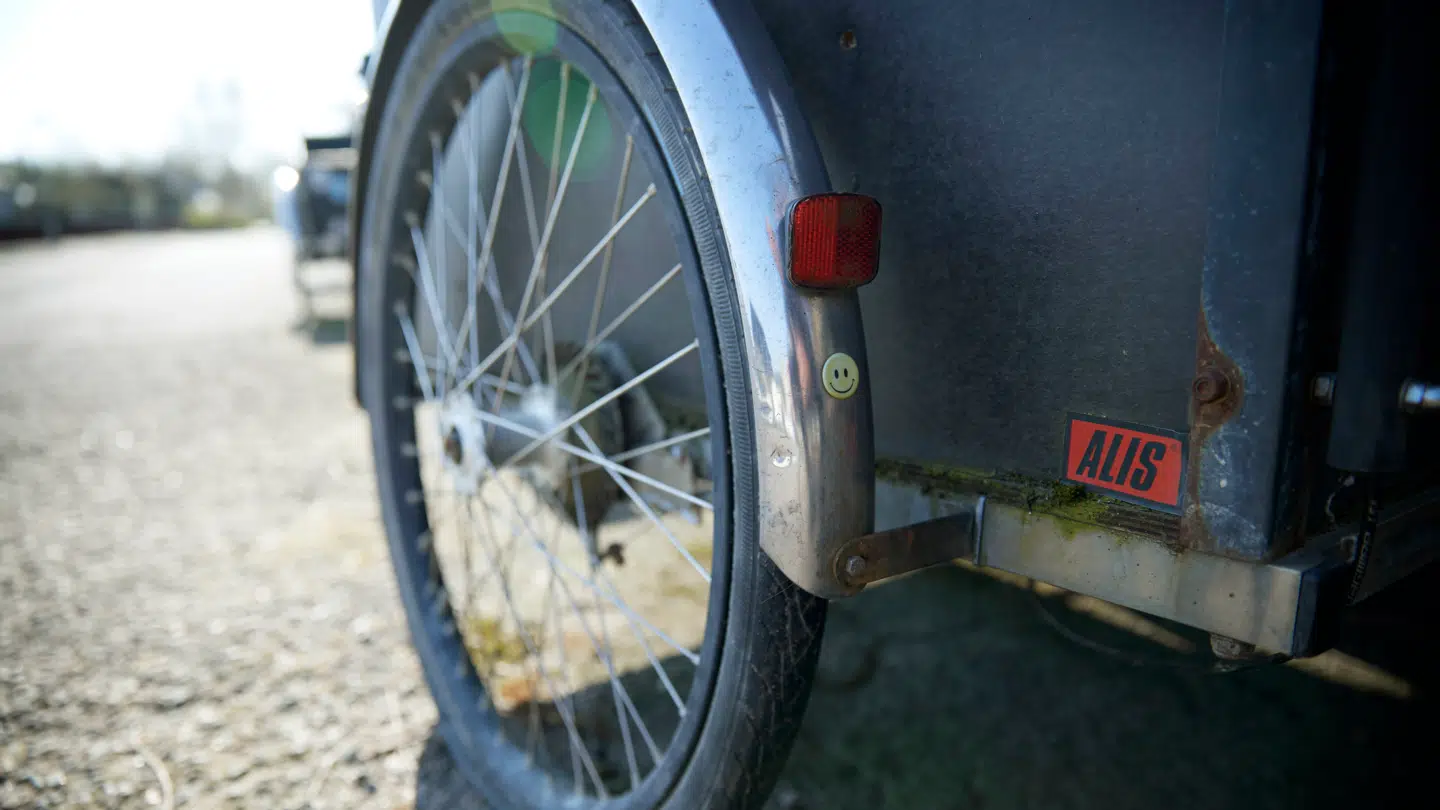 Stifterne bag skaterbrandet Alis ragede sidste år uklar, hvilket førte til at mange skatere boykottede Alis-logoet og udskiftede det med Albert. Klistermærket ses særligt omkring Christiania og Christianshavn.