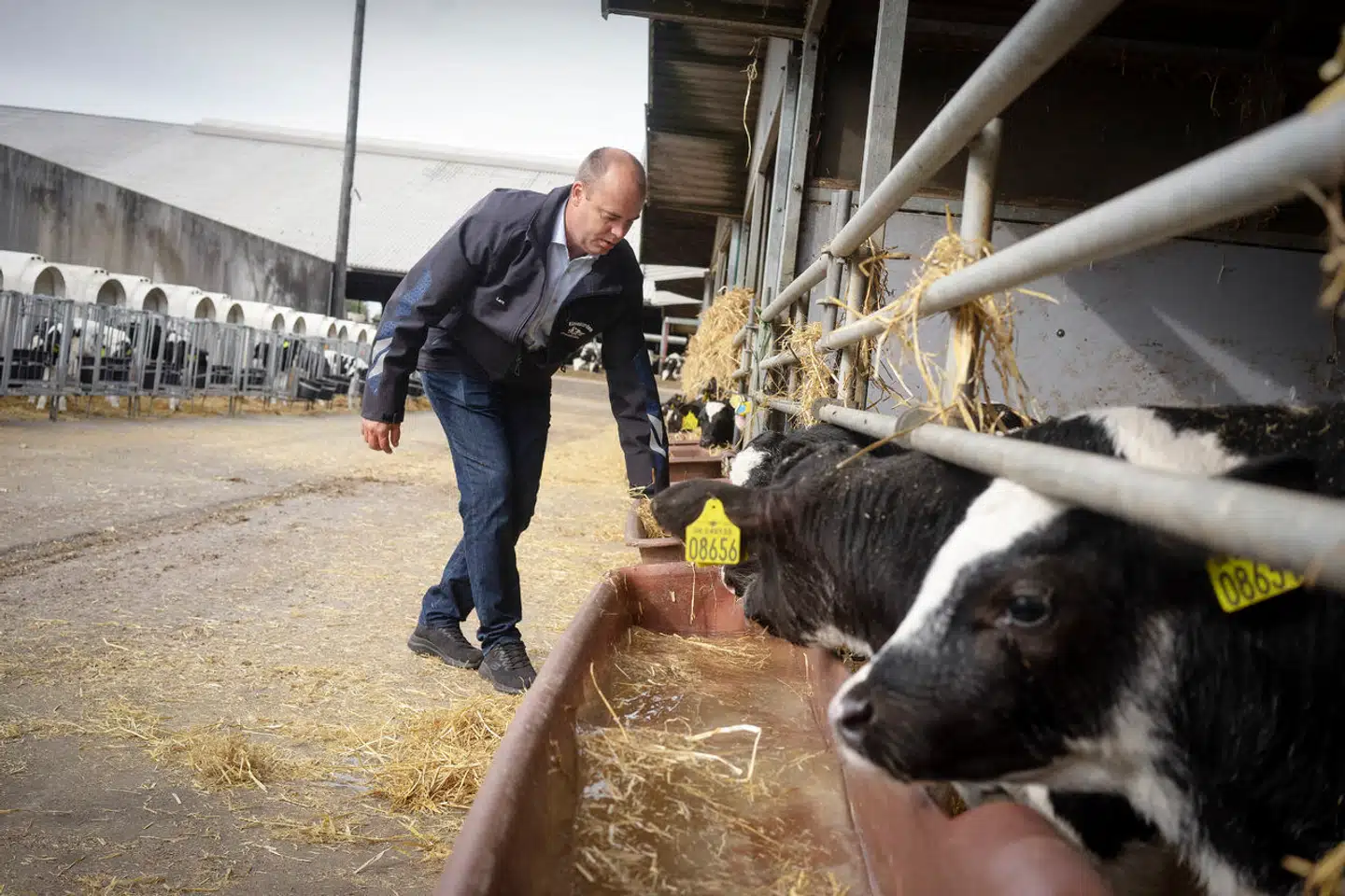 Lars Kristensens bedsteforældre vakte hans interesse for landbrug. Også de havde køer, men interessen sprang en generation over og gik videre til Lars Kristensen.