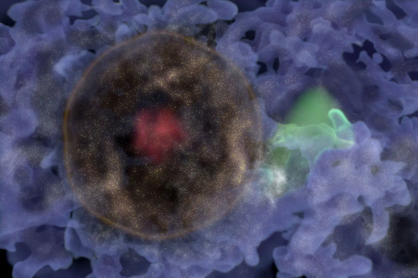 Astronomer har skabt en 3D-repræsentation af den gigantiske boble af galakser, som de har opdaget. Frederic Durillon, Daniel Pomare/Ritzau Scanpix