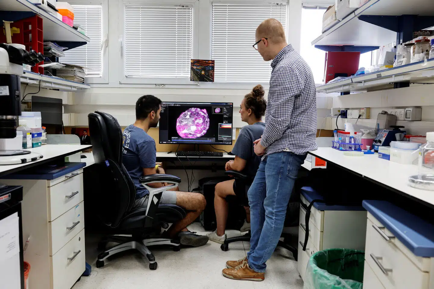 Et hold af forskere i Israel har formået at skabe et syntetisk embryo – helt uden at bruge æg eller sædceller.