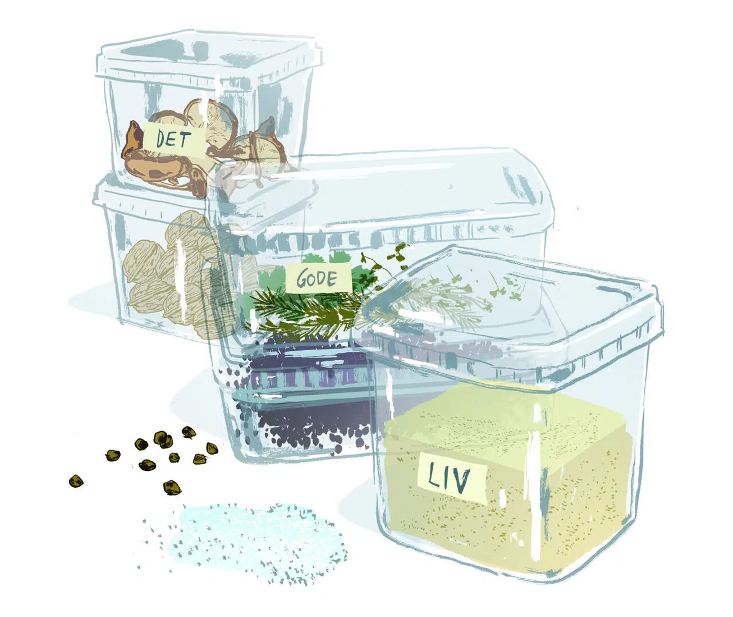 Illustration: Rasmus Meisler