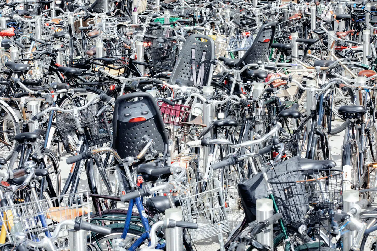 Foto: Peter Helles Eriksen