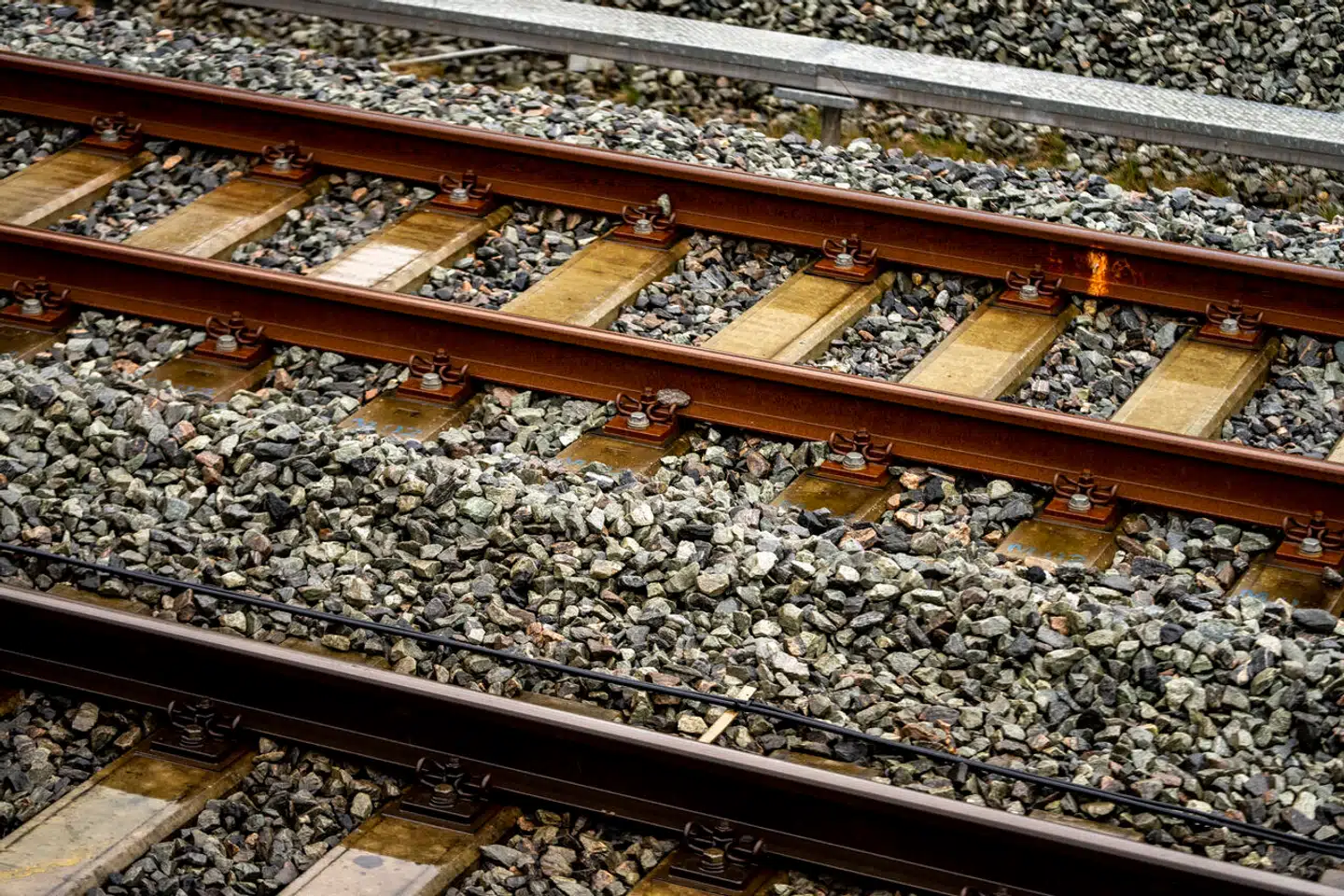 Den danske regering har sammen med DSB planer om at neddrosle togtrafikken mellem Danmark og Tyskland. Arkivfoto: Mads Claus Rasmussen, Scanpix