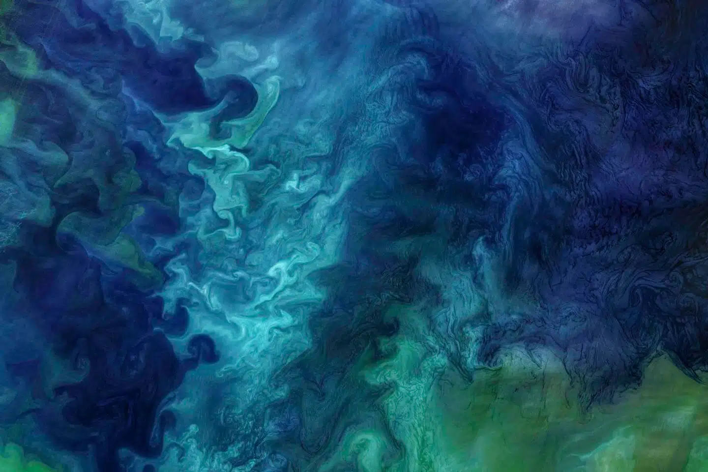 Verdenshavenes økosystemer påvirkes af klimaforandringerne. Det kan blandt andet ses på havenes farve. Arkivfoto: NASA, Scanpix