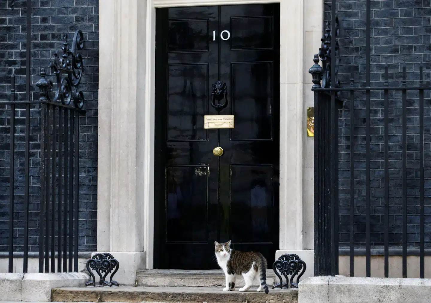 Episoden har fået flere konservative parlamentarikere til at foreslå, at regeringen forbyder skoler at give elever lov til at ændre personlige pronominer uden forældrenes samtykke. Arkivfoto: Henry Nicholls, Scanpix