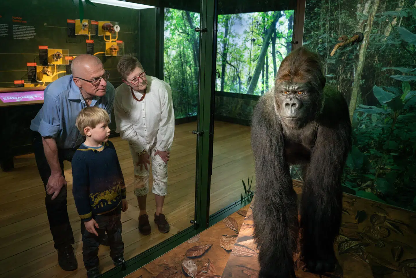 Pressefoto: Frederik Wolff, Statens Naturhistoriske Museum