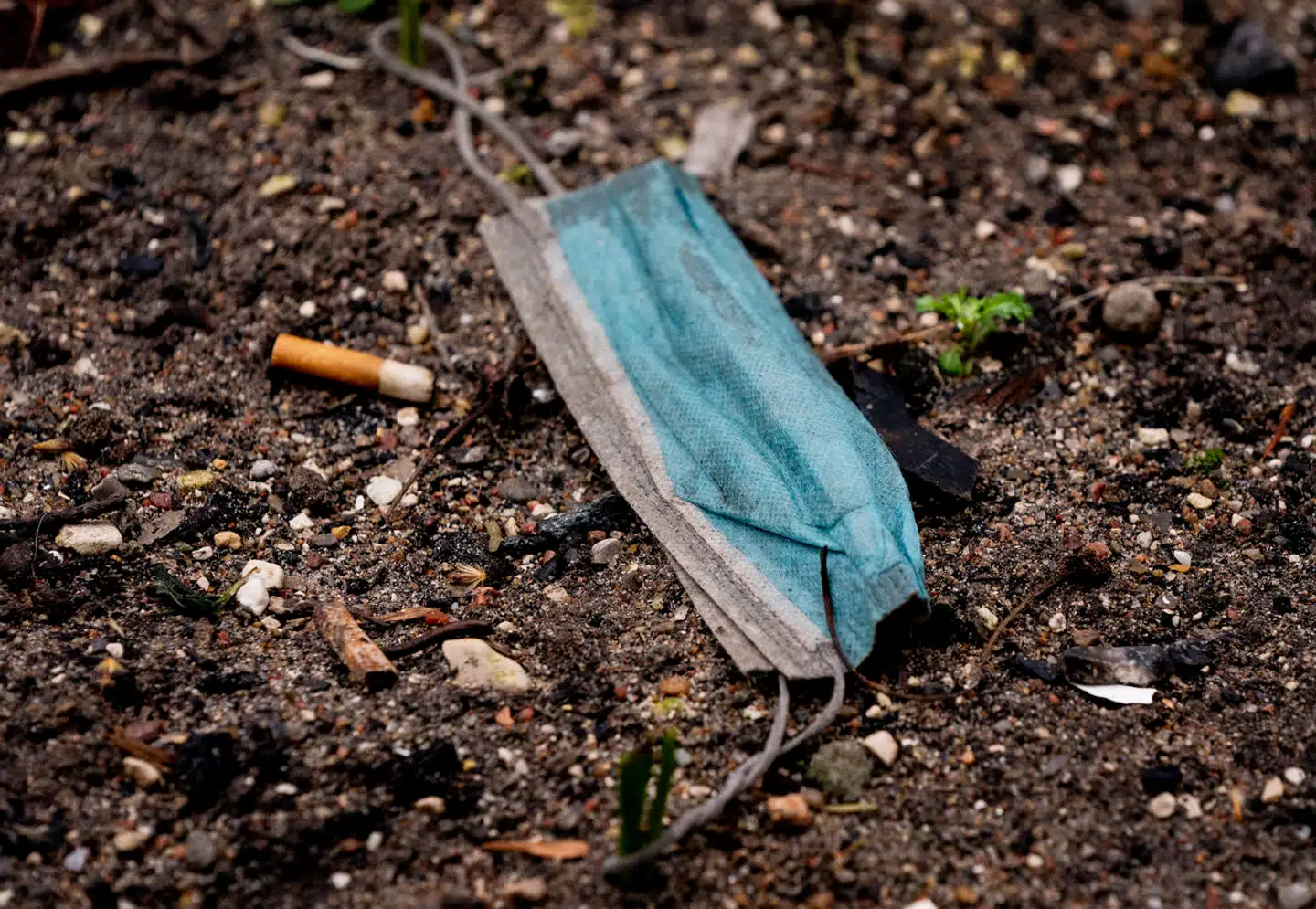 Foto: Lisselotte Sabroe, Scanpix