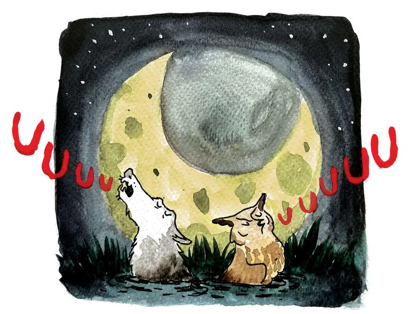 Illustration: Signe Herlevsen