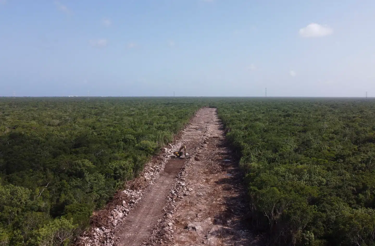 Den seneste masseudrydelse af arter fandt sted for cirka 65 millioner år siden, hvor en kæmpe meteor slog ned ved Yucatán-halvøen ved Mexico. Foto: Eduardo Verdugo, Ritzau, Scanpix
